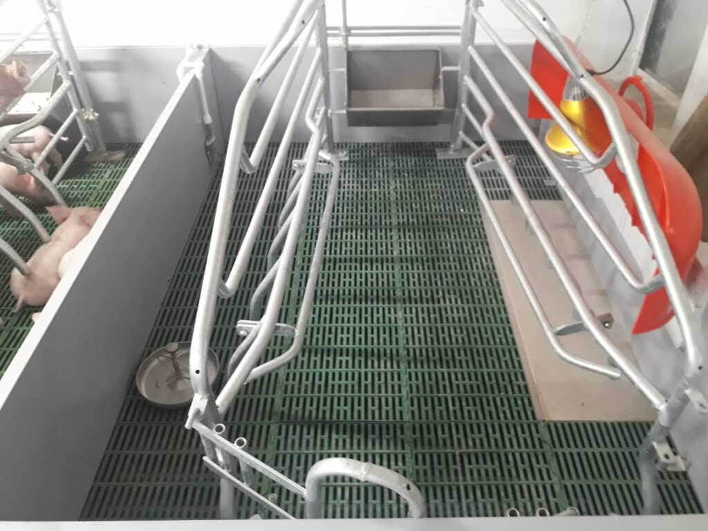 Kako uraditi rešetkasti pod u prasilištu