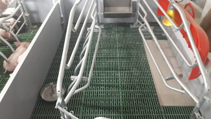 Kako uraditi rešetkasti pod u prasilištu